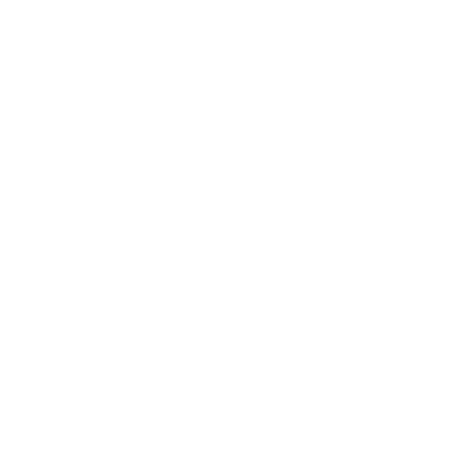 ícone-passaporte